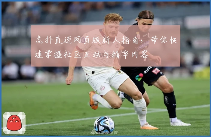 虎扑直连网页版新人指南，带你快速掌握社区互动与精华内容