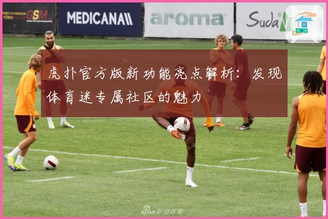 虎扑官方版新功能亮点解析：发现体育迷专属社区的魅力