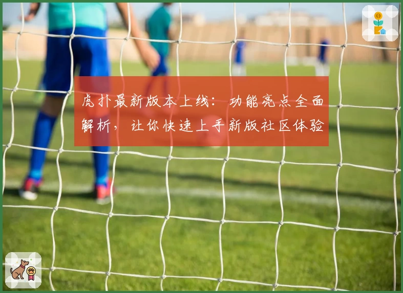 虎扑最新版本上线：功能亮点全面解析，让你快速上手新版社区体验