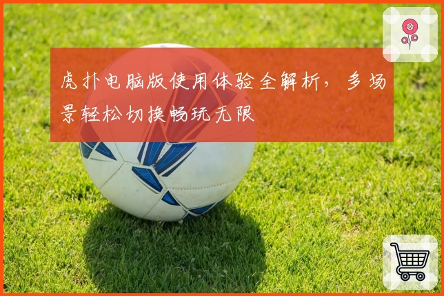 虎扑电脑版使用体验全解析，多场景轻松切换畅玩无限