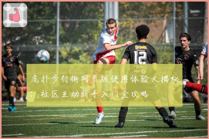 虎扑步行街网页版使用体验大揭秘：社区互动新手入门全攻略