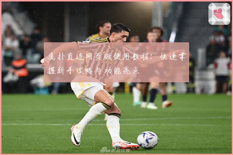 虎扑直连网页版使用教程：快速掌握新手攻略与功能亮点