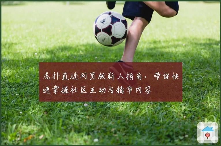 虎扑直连网页版新人指南，带你快速掌握社区互动与精华内容